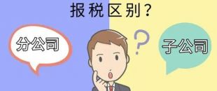 設(shè)立分公司和子公司，哪個(gè)更節(jié)稅？看完就明白了！